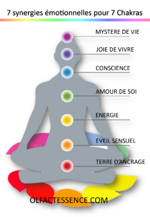 Capture d’écran (1660)